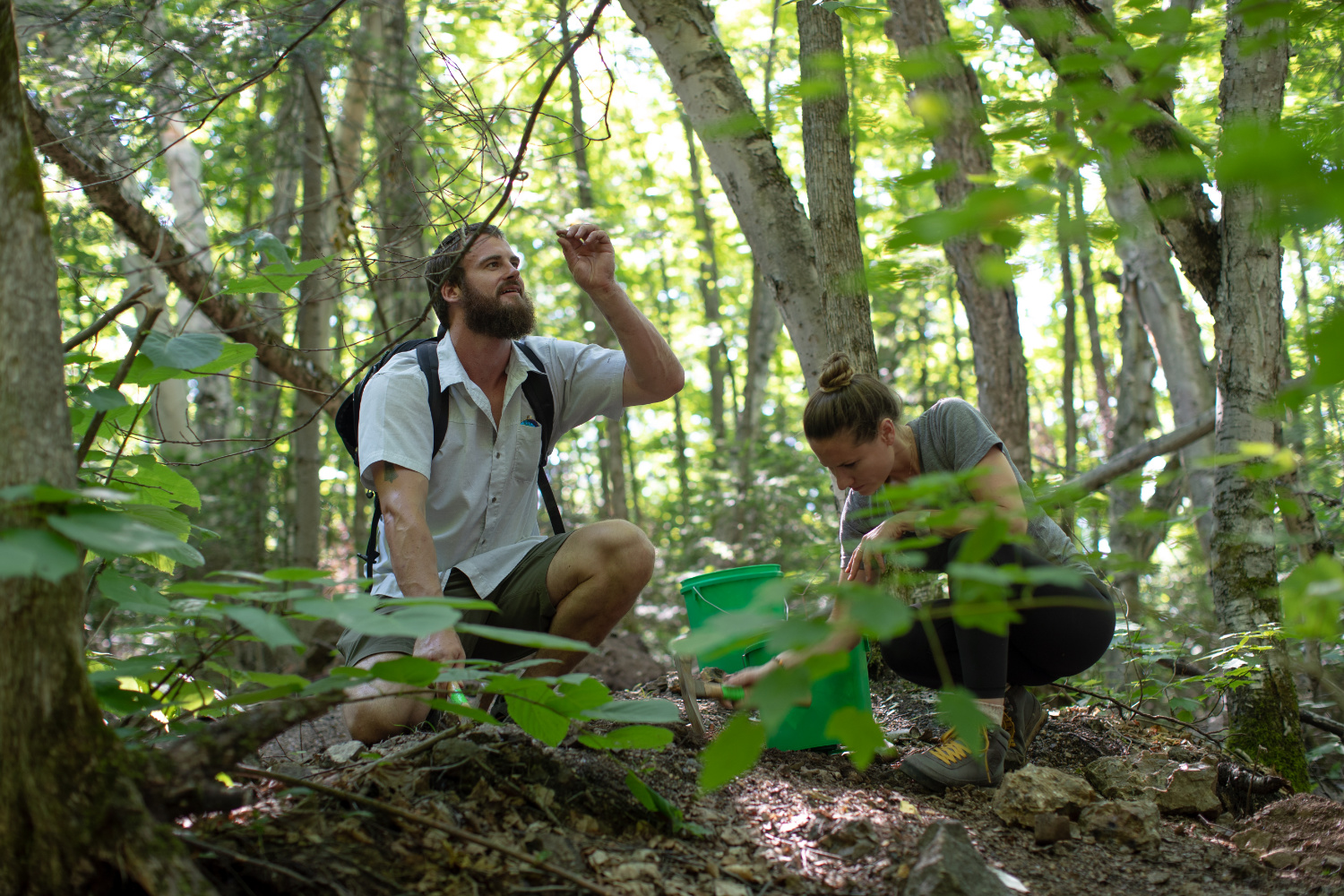 People rockhounding, a person is looking at a small gem or mineral, while another person is digging in the woods.
