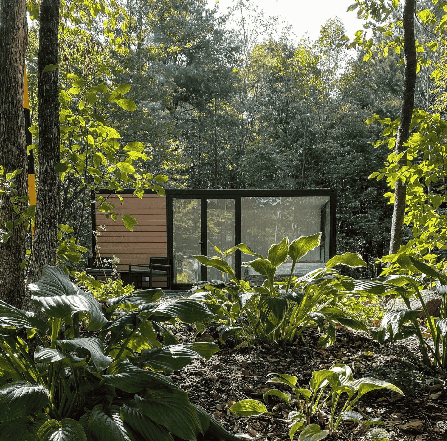 photo of riverside hideaway in the trees