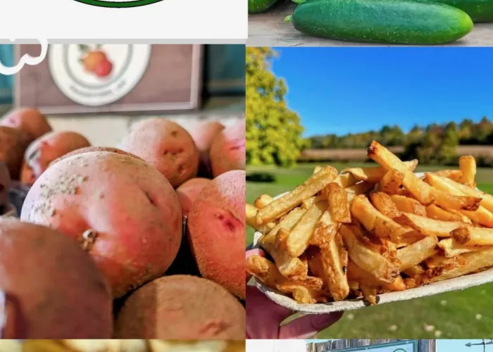 photo collage of vegetables, potatoes, fries. J. Grimson Farms logo