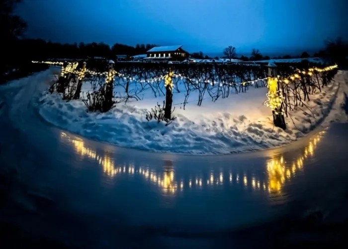 View of the new Northern Lights Skating Rink in Tweed