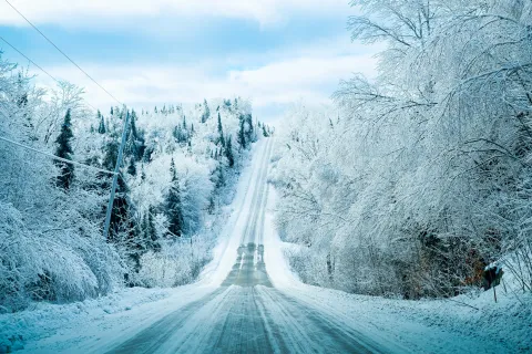 winter, snowy highway with ice covered trees