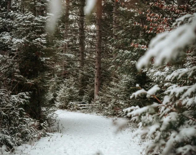 Vanderwater in the winter